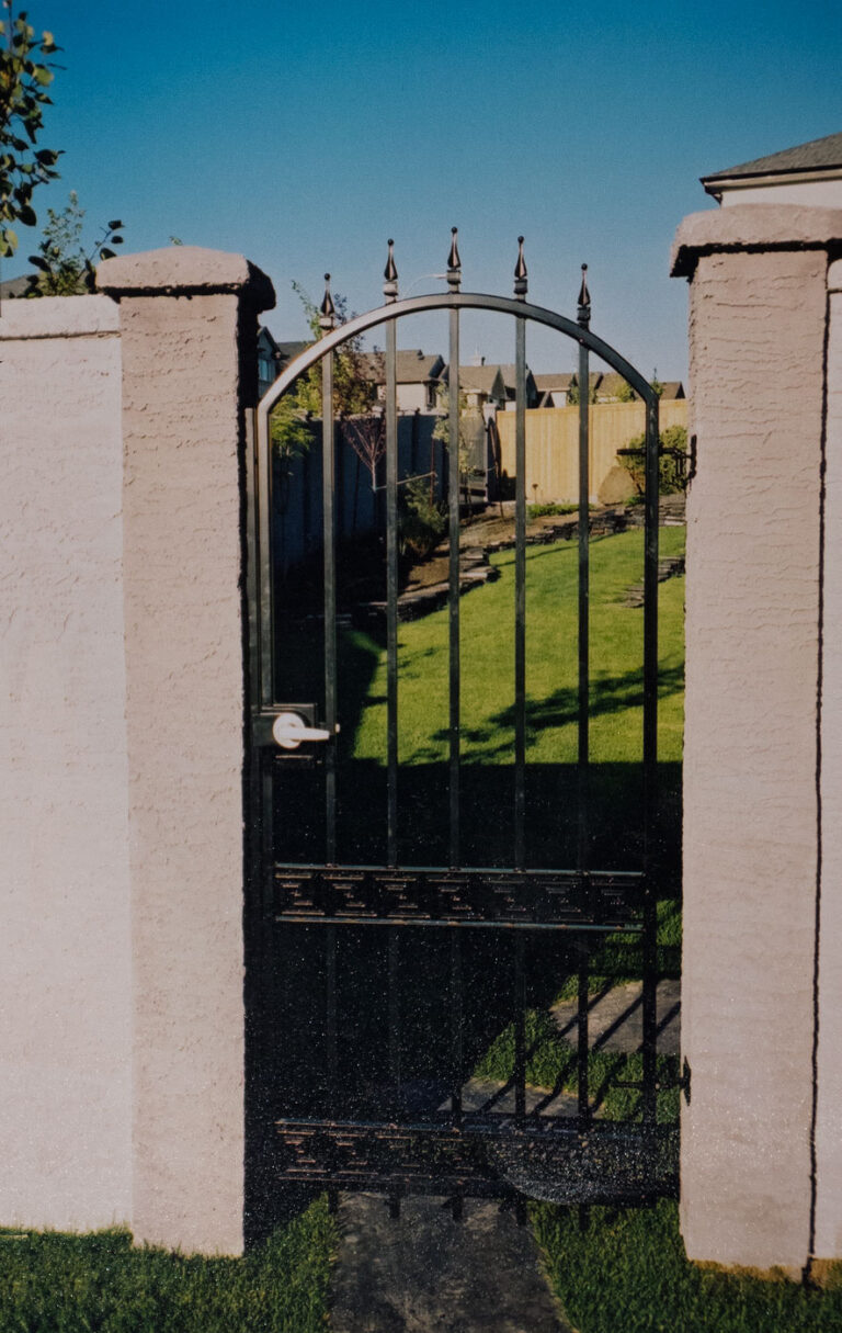 arched metal gate with castings