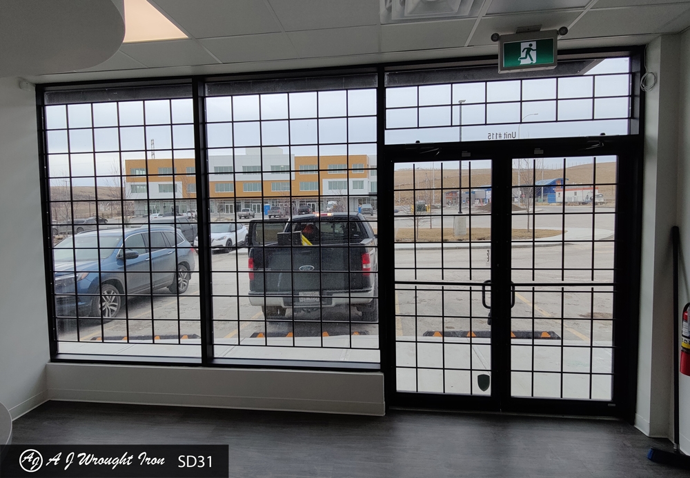 storefront window security bars